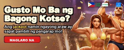 Premium Casino Gaming Experience